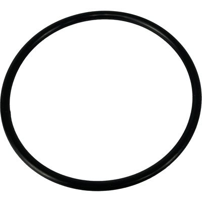 Large O-Ring (a.k.a. primary drive belt) for Alps & Forecast Wrap Machines